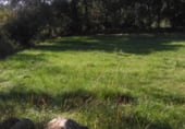 Non-developable land for sale on Calle de la Fuente, Nava del Barco, ref: TR108142 photo