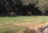 Non-developable land for sale on Calle de la Fuente, Nava del Barco, ref: TR108142 photo