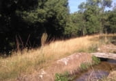Non-developable land for sale on Calle de la Fuente, Nava del Barco, ref: TR108142 photo