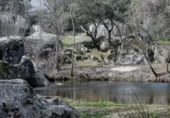 Parcel·la urbanitzable en venda a la Río Cedena, Los Navalmorales, ref.: TR108254 foto