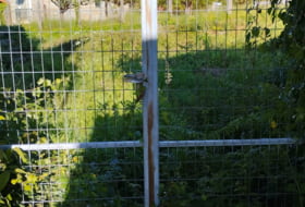 Foto 9