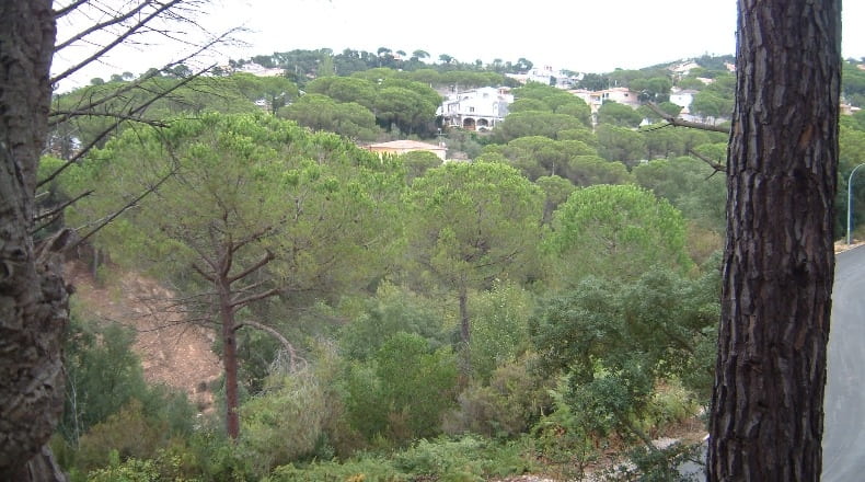 Gerona - Lloret de Mar - 630m2