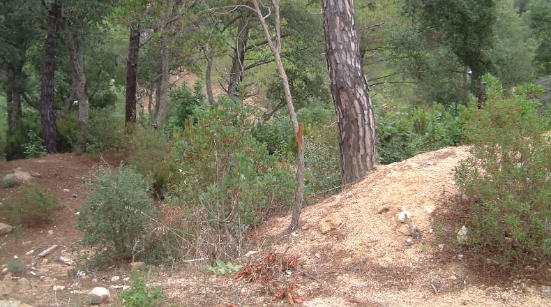 Gerona - Lloret de Mar - 630m2