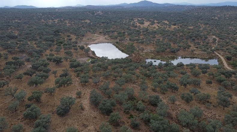Huelva - Santa Olalla del Cala - 840000m2