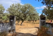 Rural estate for sale on N-630, Santa Olalla del Cala, ref: TR108274 photo