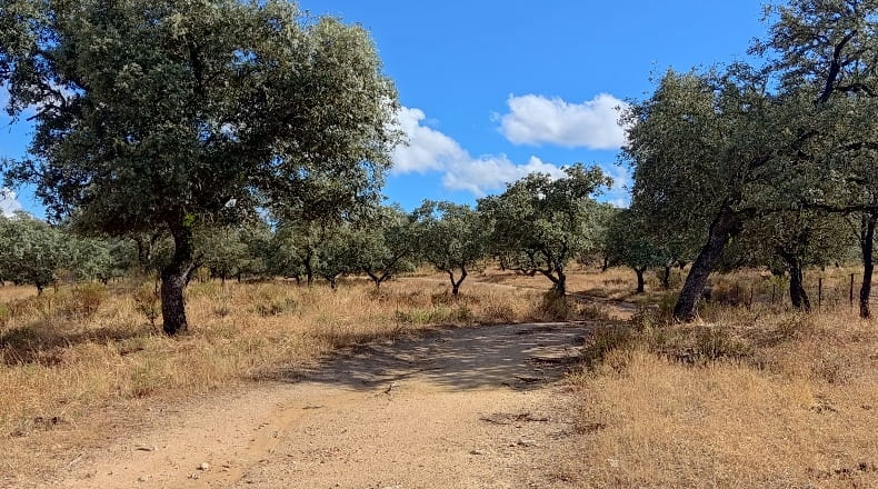 Huelva - Santa Olalla del Cala - 840000m2