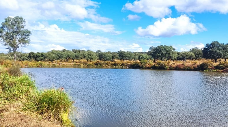 Huelva - Santa Olalla del Cala - 840000m2