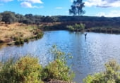 Rural estate for sale on N-630, Santa Olalla del Cala, ref: TR108274 photo