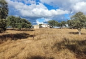 Rural estate for sale on N-630, Santa Olalla del Cala, ref: TR108274 photo