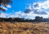 Rural estate for sale on N-630, Santa Olalla del Cala, ref: TR108274 photo