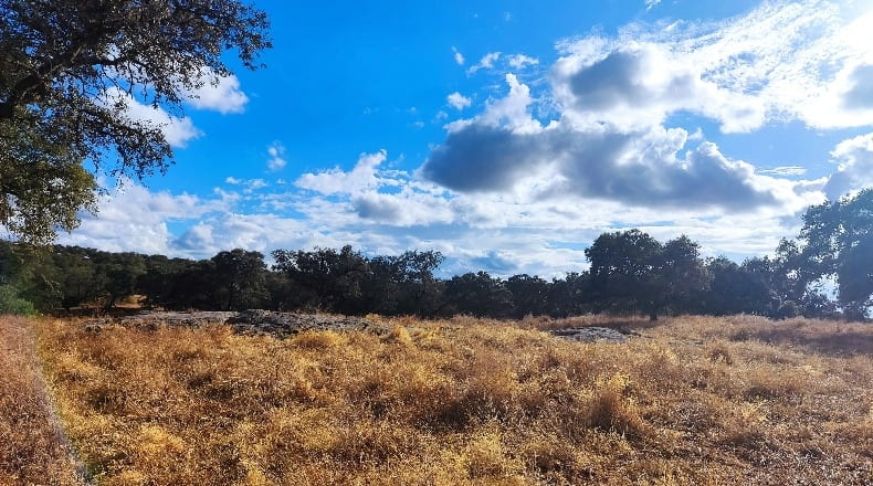Huelva - Santa Olalla del Cala - 840000m2