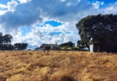 Rural estate for sale on N-630, Santa Olalla del Cala, ref: TR108274 photo