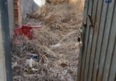 Suelo urbano en venta en la Carrer Torrent, Picassent, ref: TR108273 foto