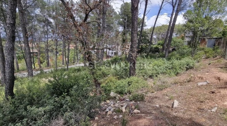 Barcelona - Corbera de Llobregat - 900m2