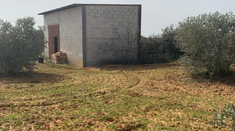 Huelva - Hinojos - 7480m2