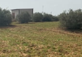 Terreny amb magatzem en venda a la PARAJE LOS LLANOS, Hinojos, ref.: TR108271 foto