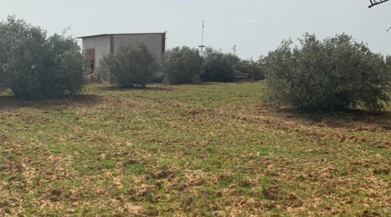 Huelva - Hinojos - 7480m2