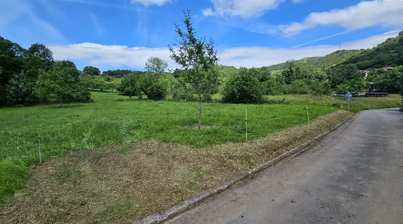 Asturias - Alava - 1300m2