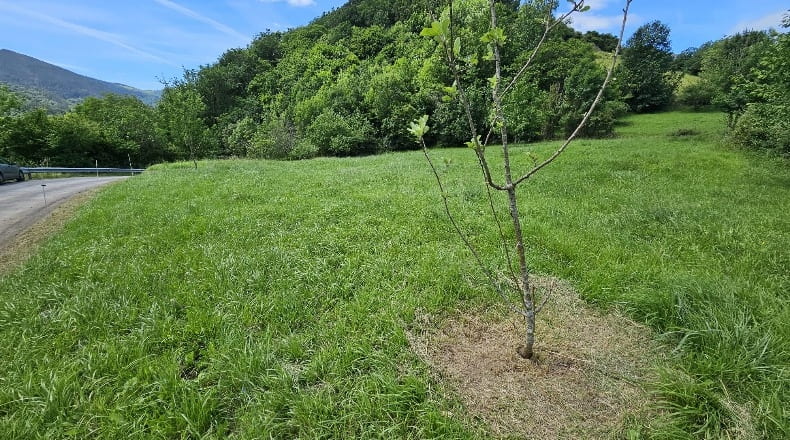 Asturias - Alava - 1300m2
