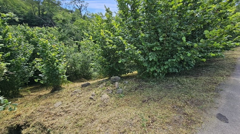 Asturias - Alava - 1300m2