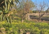 Земля на продажу у города Quart de Poblet Фото