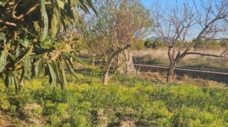 Valencia - Quart de Poblet - 2278m2