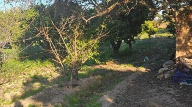 Valencia - Quart de Poblet - 2278m2