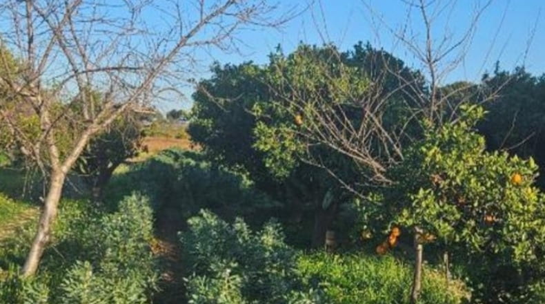 Valencia - Quart de Poblet - 2278m2