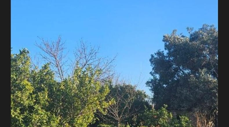 Valencia - Quart de Poblet - 2278m2