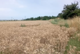 Salt 7200&nbsp;m² 