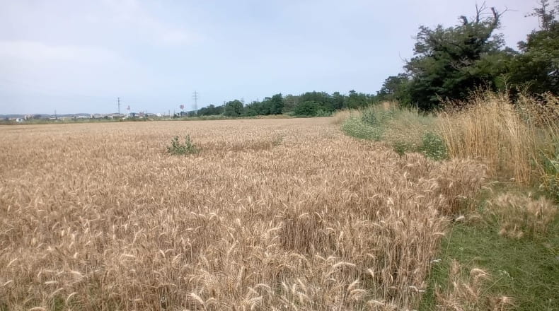 Gerona - Salt - 7200m2