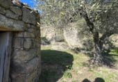 Rural estate for sale on CC-160, Montánchez, ref: TR108483 photo