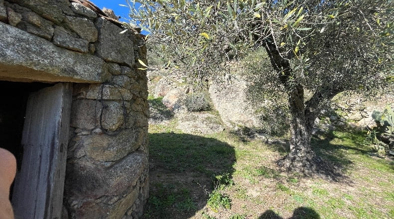 Cáceres - Montánchez - 6800m2