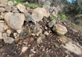 Rural estate for sale on CC-160, Montánchez, ref: TR108483 photo