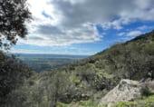 Rural estate for sale on CC-160, Montánchez, ref: TR108483 photo