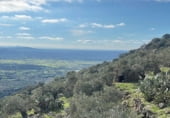 Rural estate for sale on CC-160, Montánchez, ref: TR108483 photo