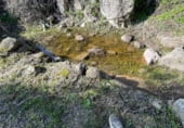 Rural estate for sale on CC-160, Montánchez, ref: TR108483 photo