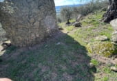 Rural estate for sale on CC-160, Montánchez, ref: TR108483 photo