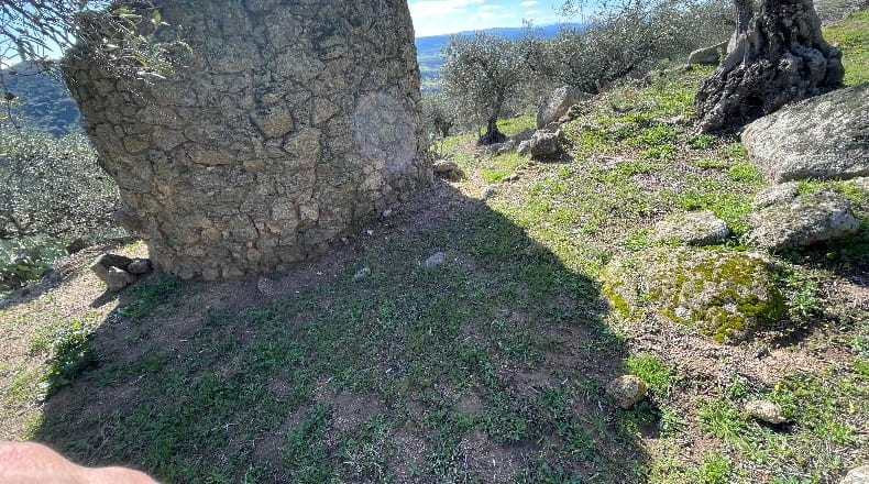 Cáceres - Montánchez - 6800m2