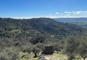 Rural estate for sale on CC-160, Montánchez, ref: TR108483 photo