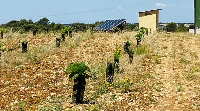 Guadalajara - Fuentelencina - 49482m2