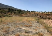 Non-developable land for sale on Camino Cañada Real de Sierra nevada, Vélez de Benaudalla, ref: TR108486 photo
