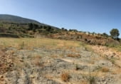 Non-developable land for sale on Camino Cañada Real de Sierra nevada, Vélez de Benaudalla, ref: TR108486 photo