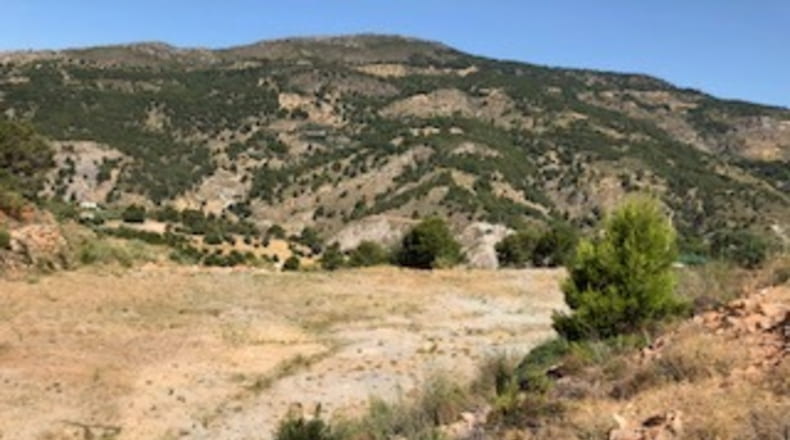 Granada - Vélez de Benaudalla - 16300m2