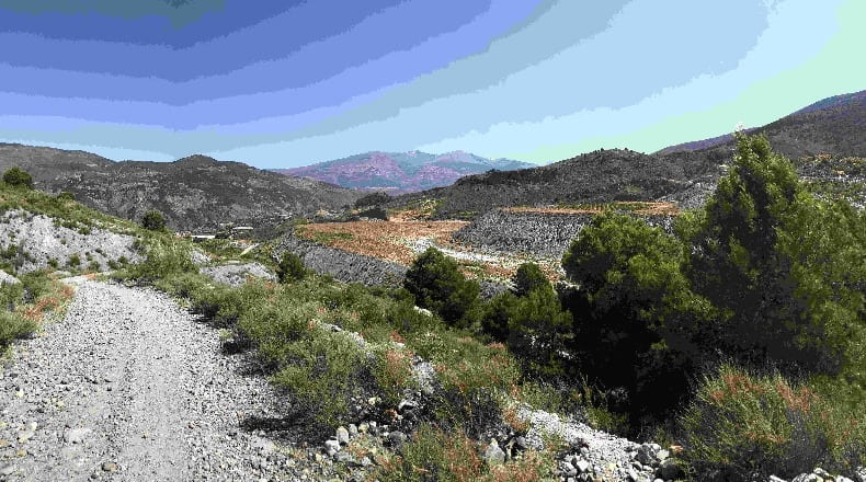 Granada - Vélez de Benaudalla - 19300m2