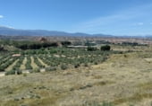 Stone house with land for sale on Camino de Cueva del Monje, Guadix, ref: TR108484 photo