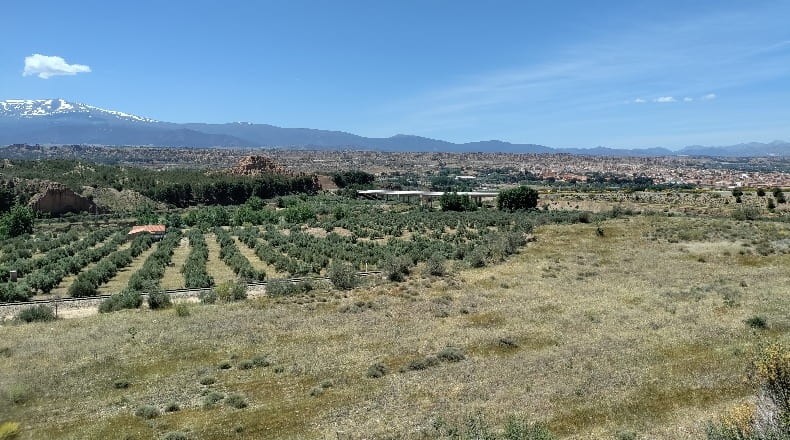Granada - Guadix - 740000m2