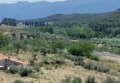 Stone house with land for sale on Camino de Cueva del Monje, Guadix, ref: TR108484 photo