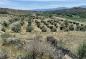 Stone house with land for sale on Camino de Cueva del Monje, Guadix, ref: TR108484 photo