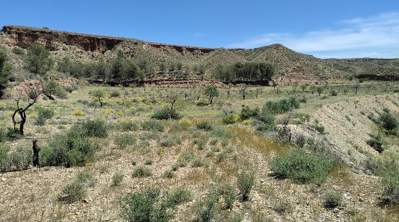 Granada - Guadix - 740000m2